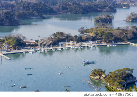 Misty Matsushima Otakori Forest 48657505