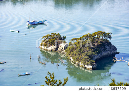 Misty Matsushima Otakori Forest Misty Matsushima Otakori Forest 48657509