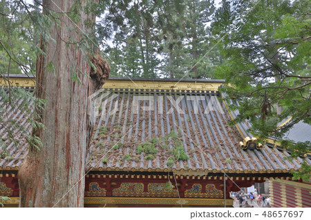Nikko Toshogu Shrine in Nikko, Tochigi, Japan Nikko Toshogu Shrine in Nikko, Tochigi, Japan 48657697