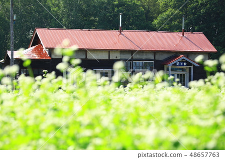 在車站前面的蕎麥領域 在車站前面的蕎麥領域 48657763