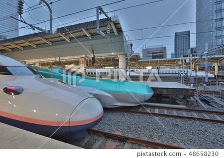 Green E5 series and white E2 series bullet trains 48658230