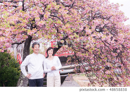 Couple travel - Kawazu cherry blossom festival cuddling couple 48658838
