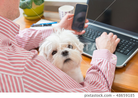 Working with dog at home Working with dog at home 48659185