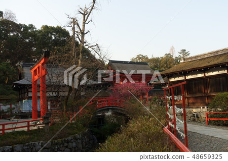 京都，Shimogamo神社的Mitarashi河，環橋，Korin的梅花，塔花園，橋樑建築的風景 48659325