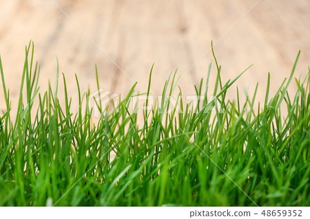 Abstract natural backgrounds with beauty bokeh 48659352