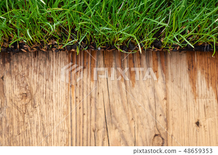 wooden with green grass background 48659353