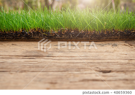 wooden with green grass background wooden with green grass background 48659360