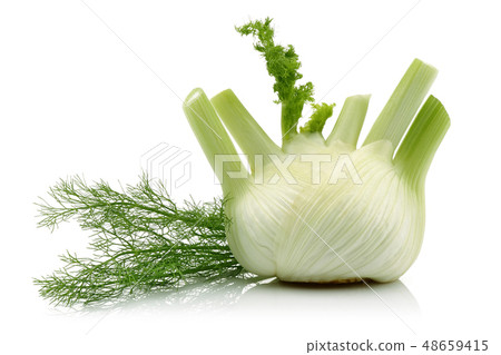 Fresh fennel bulb with leaves isolated on white 48659415