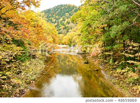 Yokofen溫泉秋葉 48659869