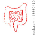 Intestine 48660419