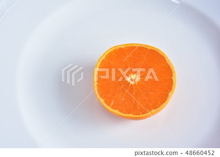 柑橘類水果等 柑橘類水果等 48660452