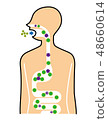 Human figure 48660614