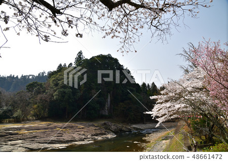 From Oonoji 48661472