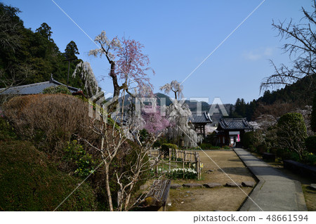 從Oonoji 48661594