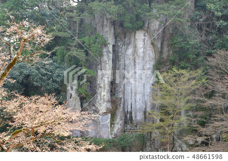 From Oonoji From Oonoji 48661598