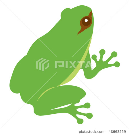 A frog A frog 48662239