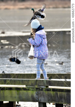 Feeding ducks Feeding ducks 48662773