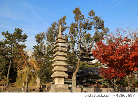 Sarusawa Pond · Kokonoe Tower / Nara Prefecture Nara City Osakiji Town 48663697