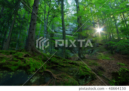 Spring landscape in the spring Spring landscape in the spring 48664130
