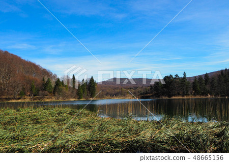Plitvice Lakes National Park 48665156