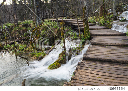 Wooden walkway in Plitvice Lakes National Park Wooden walkway in Plitvice Lakes National Park 48665164