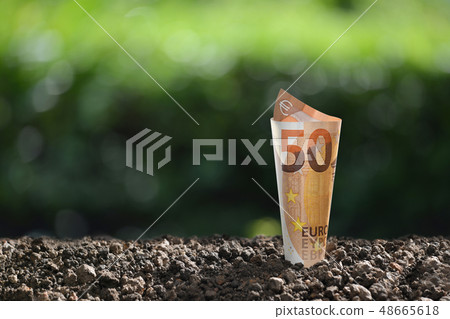 Image of EURO money banknote on top of soil 48665618