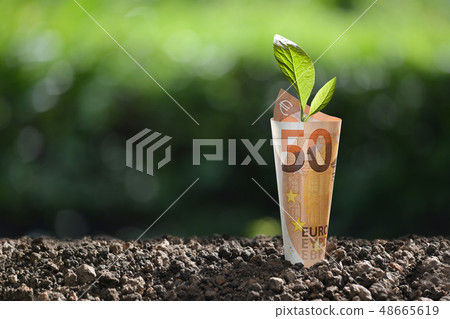 Image of EURO money banknote with plant on top 48665619