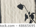 Silhouette of a flower rose on the wall, wallpaper 48665695