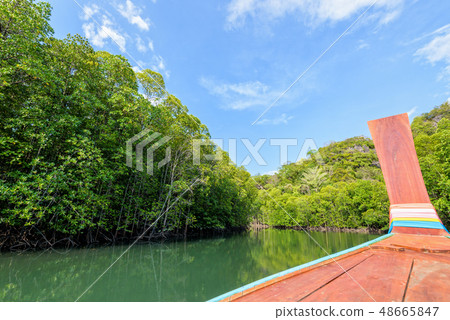 Cruise to Crocodile Cave at Koh Tarutao, Thailand Cruise to Crocodile Cave at Koh Tarutao, Thailand 48665847