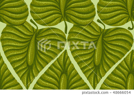 Pattern with vintage exotic tropical leaves Pattern with vintage exotic tropical leaves 48666054