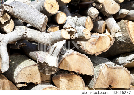 Background of dry chopped firewood Background of dry chopped firewood 48666287