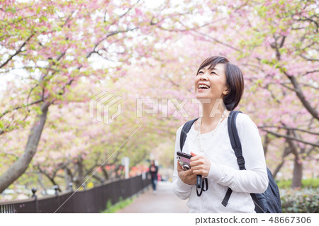 Flower where traveling women's travel girl met Flower where traveling women's travel girl met 48667306