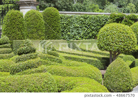 Topiary garden with trimmed hedge, designed bushes Topiary garden with trimmed hedge, designed bushes 48667570