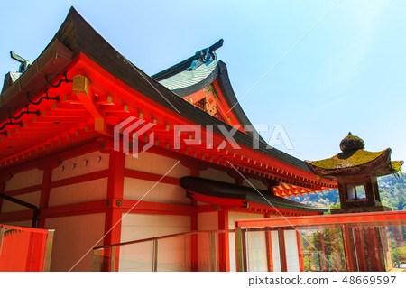 鮮綠色湯德稻荷神社[佐賀縣鹿島市] 48669597