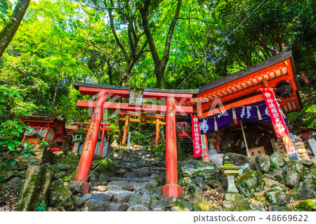 Fresh green Yutoku Inari Shrine [Kashima City, Saga Prefecture] 48669622