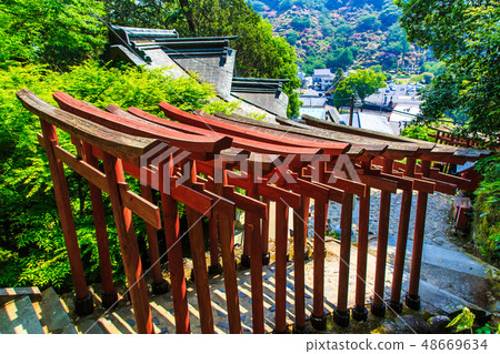 Fresh green Yutoku Inari Shrine [Kashima City, Saga Prefecture] 48669634