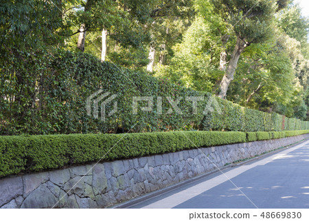 日本花園的籬笆（杉並區，東京） 48669830