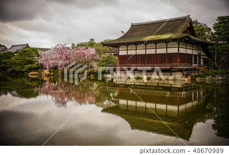 Ancient wooden palace with cherry blossom Ancient wooden palace with cherry blossom 48670989