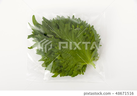 With a large leaf bag 48671516