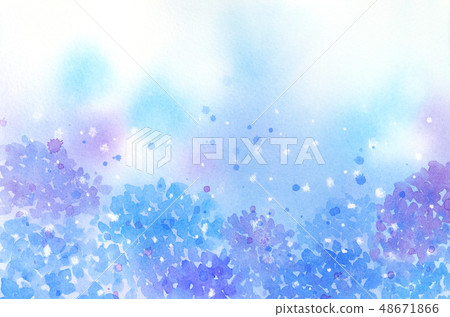 八仙花屬水彩背景 八仙花屬水彩背景 48671866