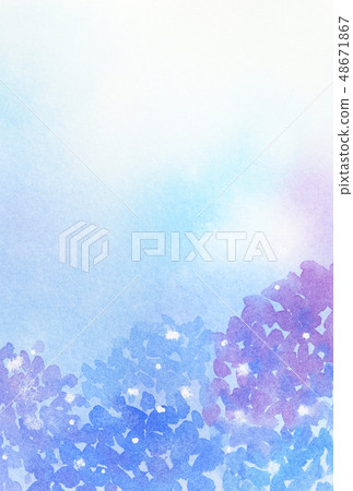 繡球花的背景明信片大小 48671867