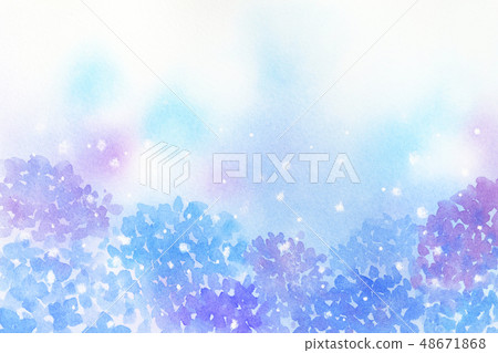 八仙花屬水彩背景 48671868