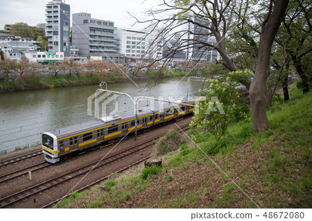 Sobu線209走出葉子櫻桃樹的葉子 48672080