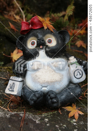 Raccoon ornament 48672605