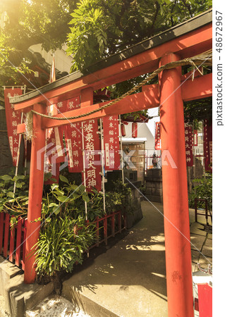 神社Inari神社站立在狐狸enoko樹下由東京,東京,北京的江戶的一百個風景的印刷品繪製。 神社Inari神社站立在狐狸enoko樹下由東京,東京,北京的江戶的一百個風景的印刷品繪製。 48672967