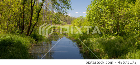 tural Lesna river in summer midday 48673172