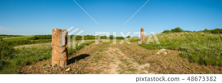 The road in the steppe The road in the steppe 48673382