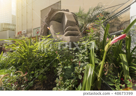 Close-up photographing of the famous Moai statue surrounded by tropical flowers standing at the bus terminal mouth of Shibuya station Close-up photographing of the famous Moai statue surrounded by tropical flowers standing at the bus terminal mouth of Shibuya station 48673399