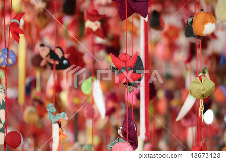 老私人住宅的劍小雞(猴子正面主要) 老私人住宅的劍小雞(猴子正面主要) 48673428