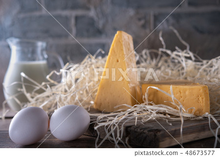 Cheese, Milk and Eggs 48673577
